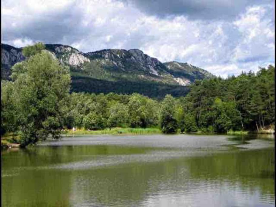 Greolieres: Superbe Studio Avec Vue Montagne Экстерьер фото